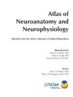 Atlas of Neuroanatomy and Neurophysiology